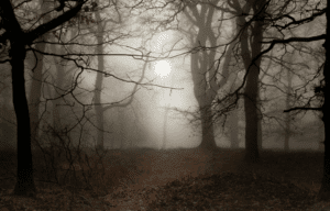 Read more about the article Männer im Kinderwunsch: Mythos „Männerohnmacht“