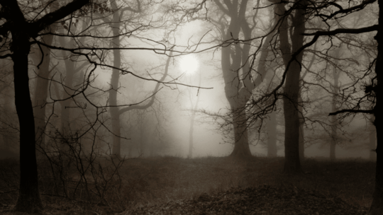 Männer im Kinderwunsch: Mythos „Männerohnmacht“