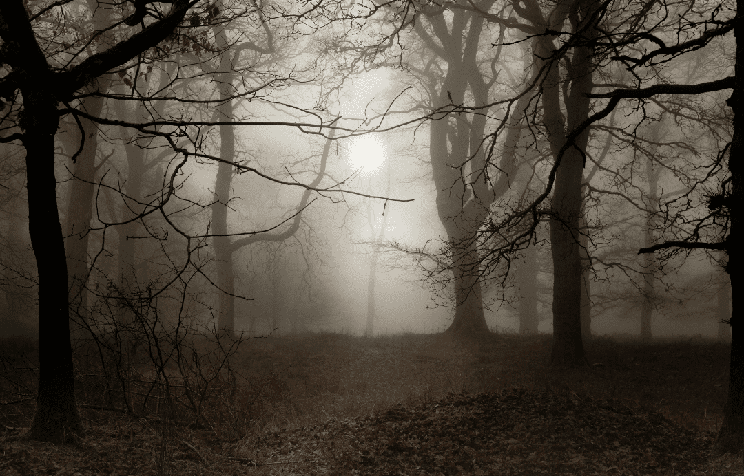 You are currently viewing Männer im Kinderwunsch: Mythos „Männerohnmacht“